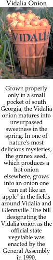 Vidalia Onion
￼

Grown properly only in a small pocket of south Georgia, the Vidalia onion matures into unsurpassed sweetness in the spring. In one of nature's most delicious mysteries, the granex seed, which produces a hot onion elsewhere, grows into an onion one "can eat like an apple" in the fields around Vidalia and Glennville. The bill designating the Vidalia onion as the official state vegetable was enacted by the General Assembly in 1990.