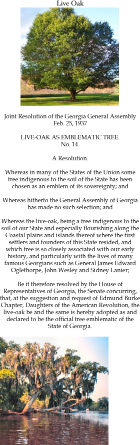 Live Oak
￼

Joint Resolution of the Georgia General Assembly
Feb. 25, 1937

LIVE-OAK AS EMBLEMATIC TREE.
No. 14.

A Resolution.

Whereas in many of the States of the Union some tree indigenous to the soil of the State has been chosen as an emblem of its sovereignty; and

Whereas hitherto the General Assembly of Georgia has made no such selection; and

Whereas the live-oak, being a tree indigenous to the soil of our State and especially flourishing along the Coastal plains and islands thereof where the first settlers and founders of this State resided, and which tree is so closely associated with our early history, and particularly with the lives of many famous Georgians such as General James Edward Oglethorpe, John Wesley and Sidney Lanier;

Be it therefore resolved by the House of Representatives of Georgia, the Senate concurring, that, at the suggestion and request of Edmund Burke Chapter, Daughters of the American Revolution, the live-oak be and the same is hereby adopted as and declared to be the official tree emblematic of the State of Georgia.

￼
